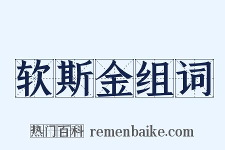 软斯金组词是什么意思的图片